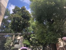 小区中心位置,交通便利,大两房,精装修