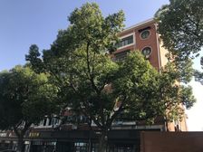 光华路双南两房美食一条街看房可随时钥匙