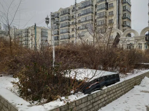 新苑小区实景图