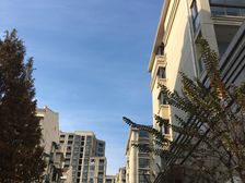 19年交房次新小区,房子精装修业主诚意出售