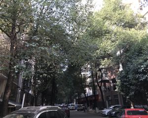 枫林美景4室2厅南