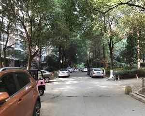 枫林美景3室2厅南