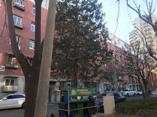 八角北里 2室1厅 南 西