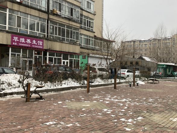维也纳河畔新城实景图