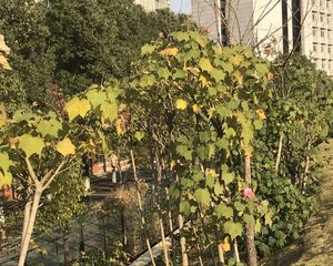 新城观山印4室2厅南