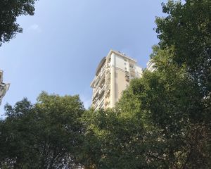 枫林美景2室2厅南北