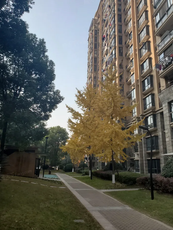 【杭州金色钱塘小区,二手房,租房】- 杭州房天下