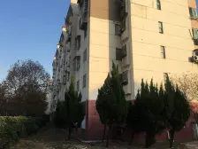 京东小区G区 南北通透,采光好 视野好,诚心出售