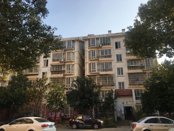 京东小区G区实景图