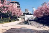 园林实景