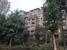 钓鱼嘴半岛 康田栖樾洋房四房265万