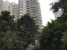 采光好 户型方正 出入方便 近体育馆华熙