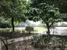 全款证在手,户型方正,朝南的好户型