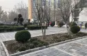 恋日嘉园二期实景图