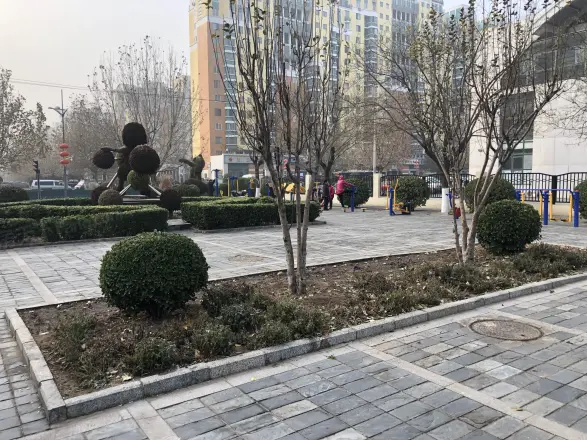 恋日嘉园二期实景图