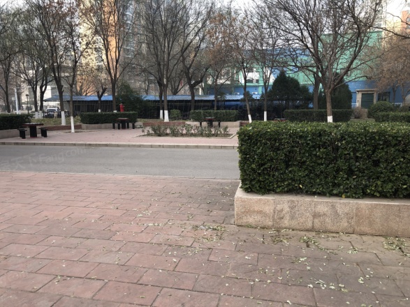 恋日嘉园二期实景图
