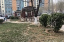 恋日嘉园二期实景图