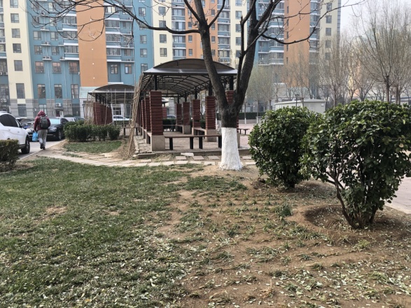 恋日嘉园二期实景图