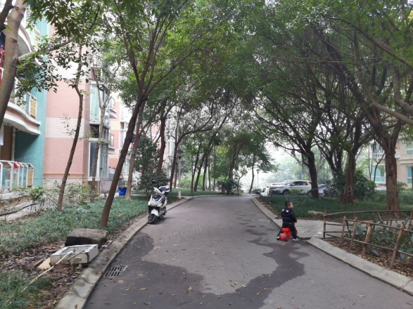 浩立半岛康城实景图