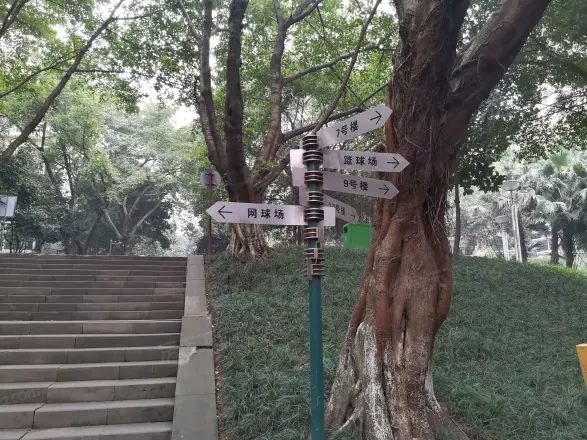 浩立半岛康城实景图