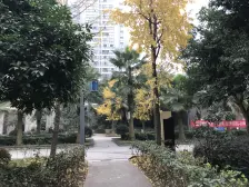 电梯顶跃+带大露台+近轻轨+临商圈+门口公交站+诚心卖