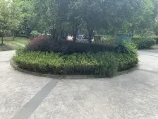 大虹桥 视野好 大阳台 户型方正