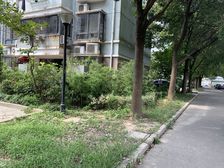 云封公寓3室2厅南