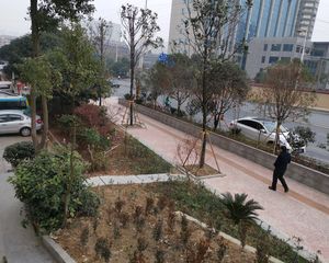 通华天都1室1厅南