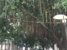 大石坝五村小户型两房出行方便配套齐全