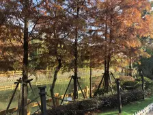 御沁园西区联排大别墅出租有车位可长住