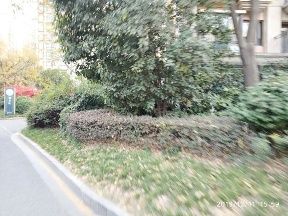 戈尔理想实景图