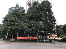 此房是个正规五室三卫,交通出行方便,生活配套齐