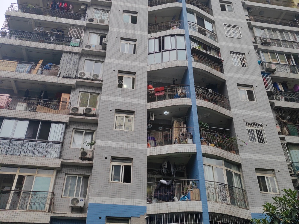 实景图
