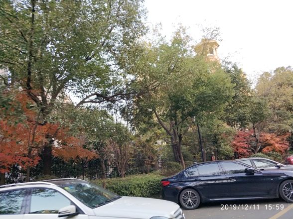 戈尔理想实景图
