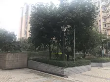 大石坝 大石坝五村二房35万