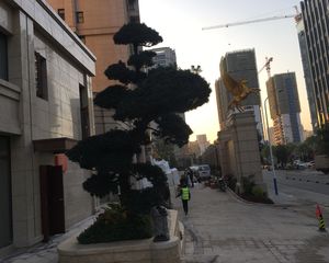 白麓城大悦墅洋房,错跃,得房率高,有钥匙随时可以看