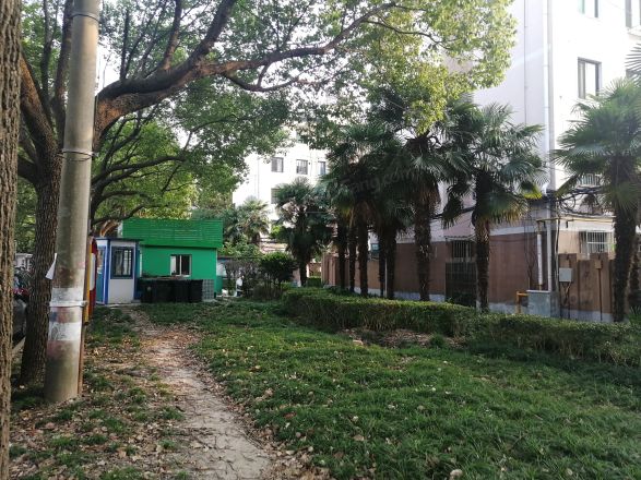 贝港三区实景图