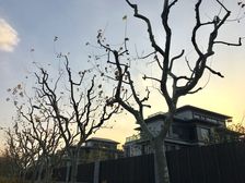 漓江花园三期2室2厅南