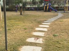 怡园新邸3室2厅南