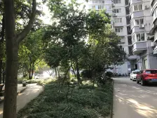 城南新区 金福花园(北碚)三房