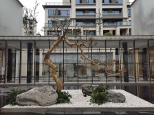 保利5跃6洋墅端户,带70平左右露台,5房三卫