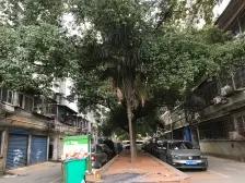 东华苑小区 南北通透,采光好 近地铁 视野好,诚心出售