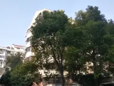 周浦万达旁,一个不容易发现的宝藏小区,南北通户型,总价低