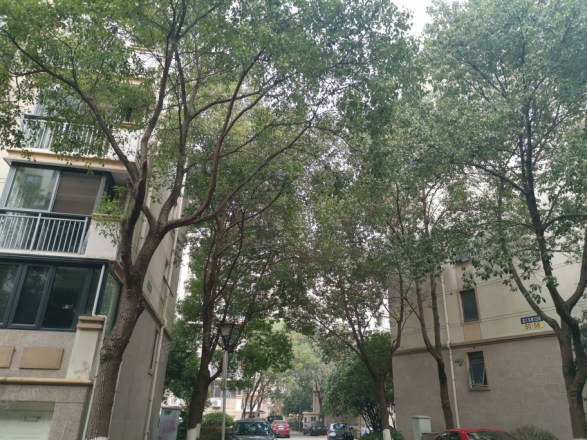 雅戈尔东湖花园一期