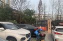 格林生活广场橘园实景图