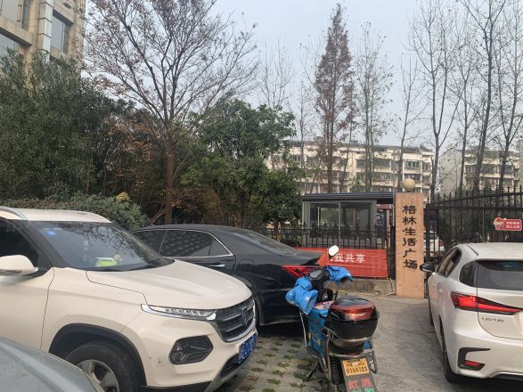 格林生活广场橘园实景图