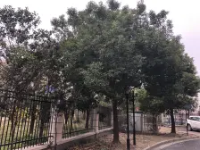 房东诚心卖!采光刺眼!欢迎选购