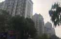枫丹琴园实景图
