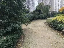 精装好房,现代风格,小区中心位置,南北通透,电梯房