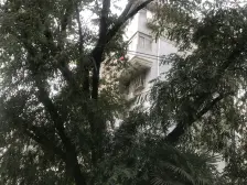 真如低总价 边套全明 双南大两房 户型通透 近地铁